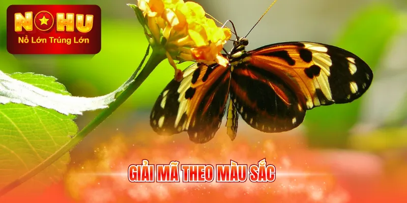 Giải mã theo màu sắc